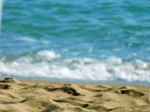 Fine sandy beach on the Black Sea (Photo: René Steuer).