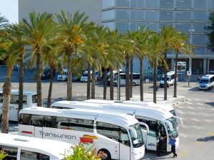 Reisebusse in Palma de Mallorca (Foto: Jan Gruber).