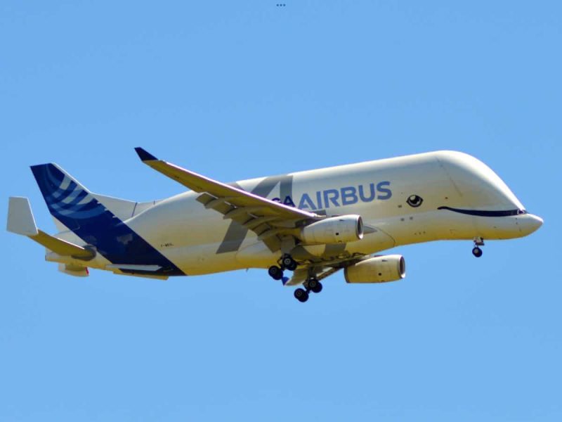 Airbus Beluga (Foto: Steffen Lorenz).