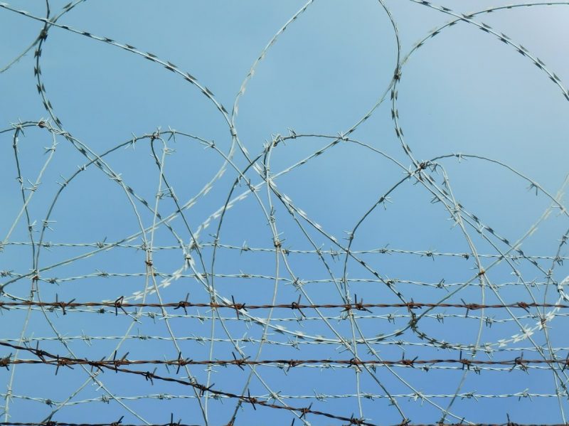 Barbed wire (Photo: Jan Gruber).