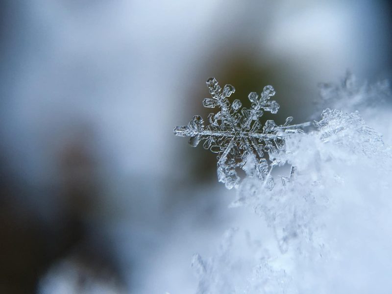 Snowflake (Photo: Unsplash/Aaron Burden).