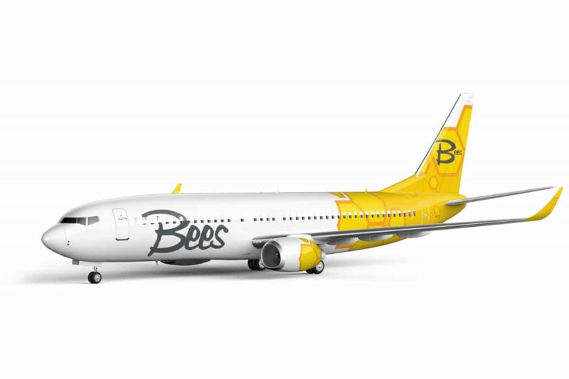 Boeing 737 (Rendering: Bees Airlines).