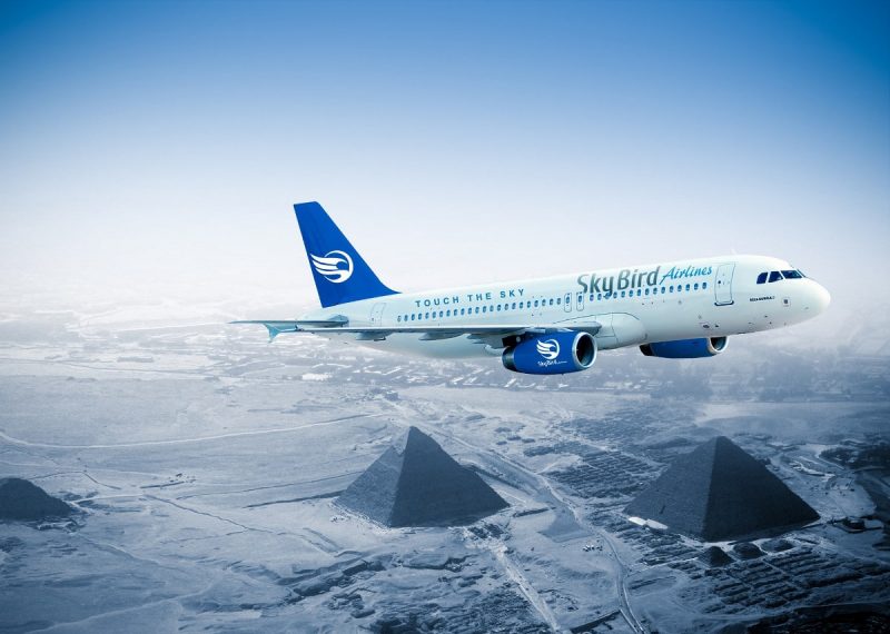 Airbus A320 (Rendering: SkyBird Airlines).
